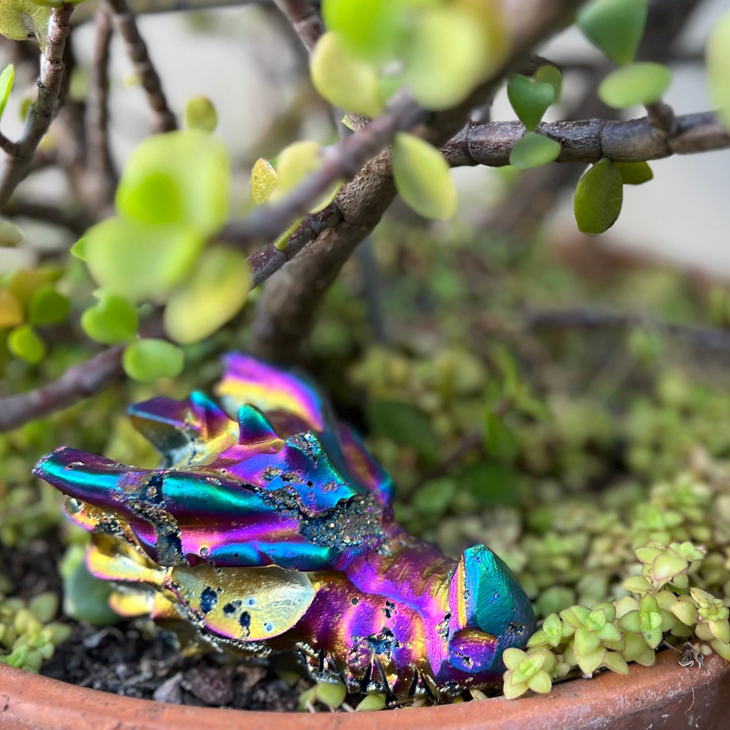 ‘Cosmic Henry’ The rainbow aura quartz dragon carving