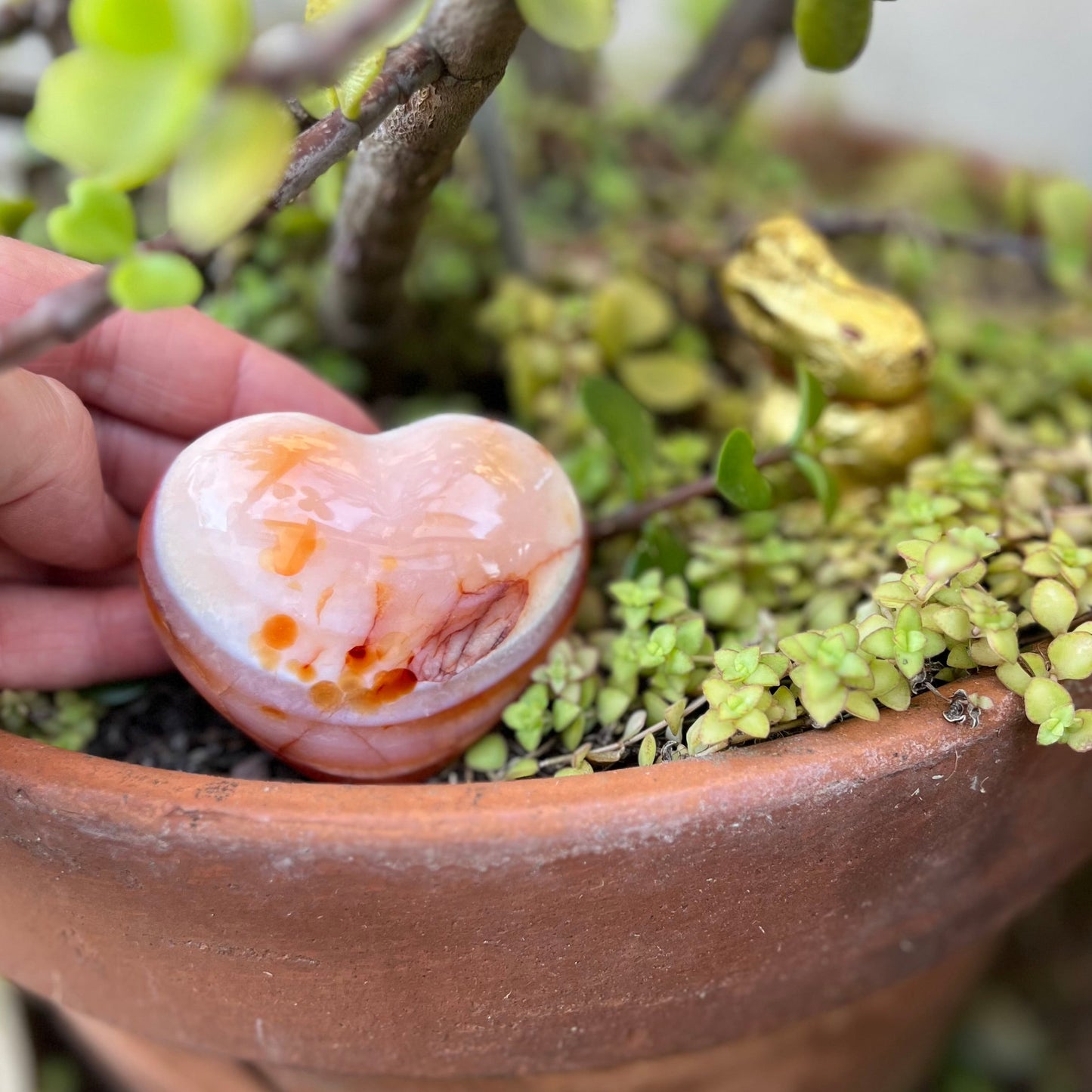 Carnelian Heart