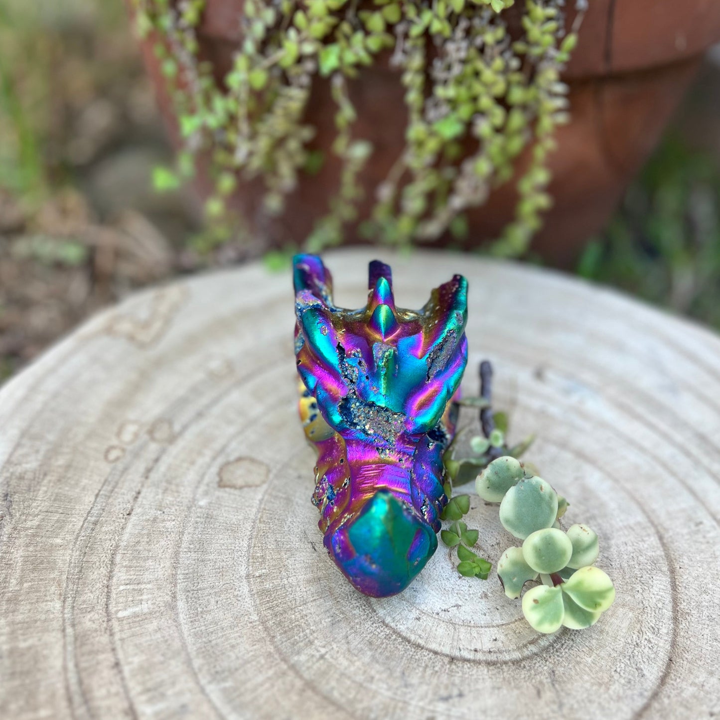 ‘Cosmic Henry’ The rainbow aura quartz dragon carving