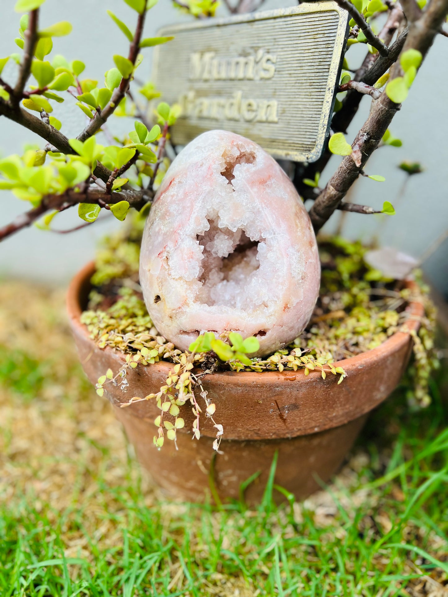 Large Pink Amethyst Egg