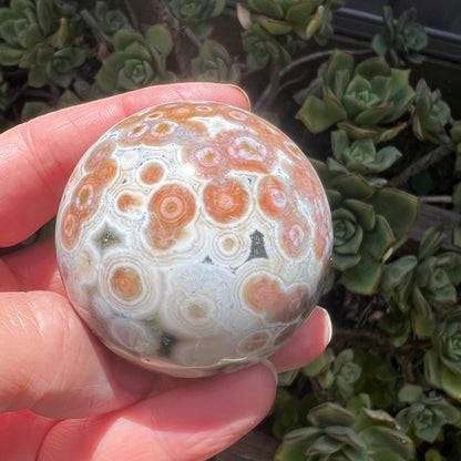 8th Vein Ocean Jasper sphere