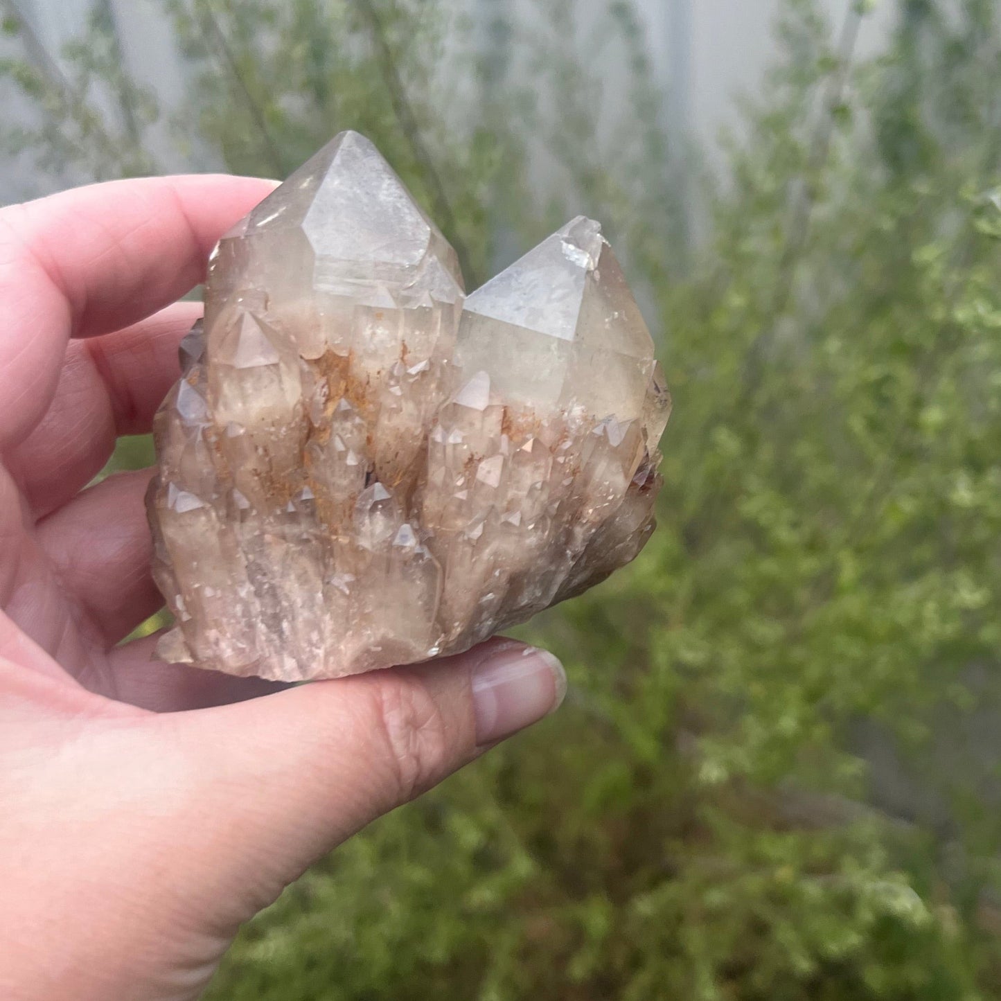 Natural raw Citrine cluster