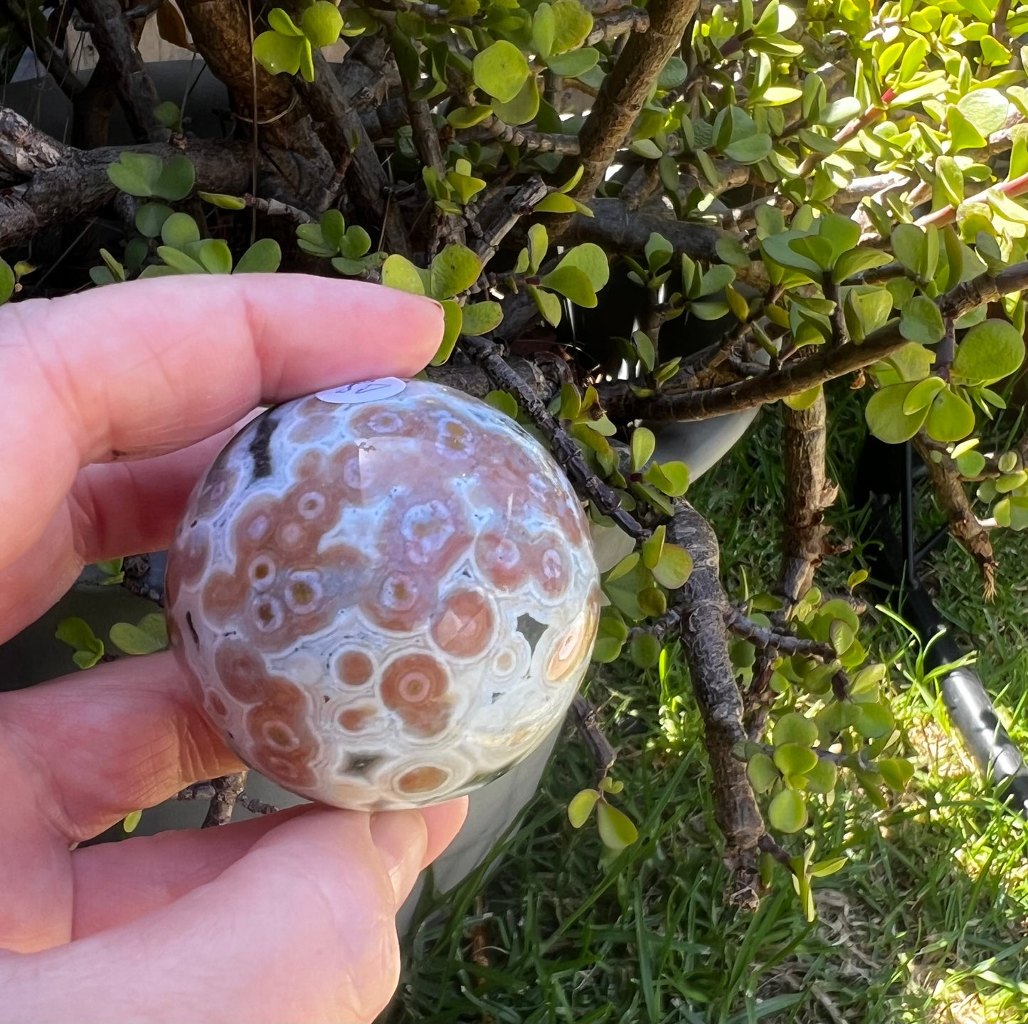 8th Vein Ocean Jasper sphere