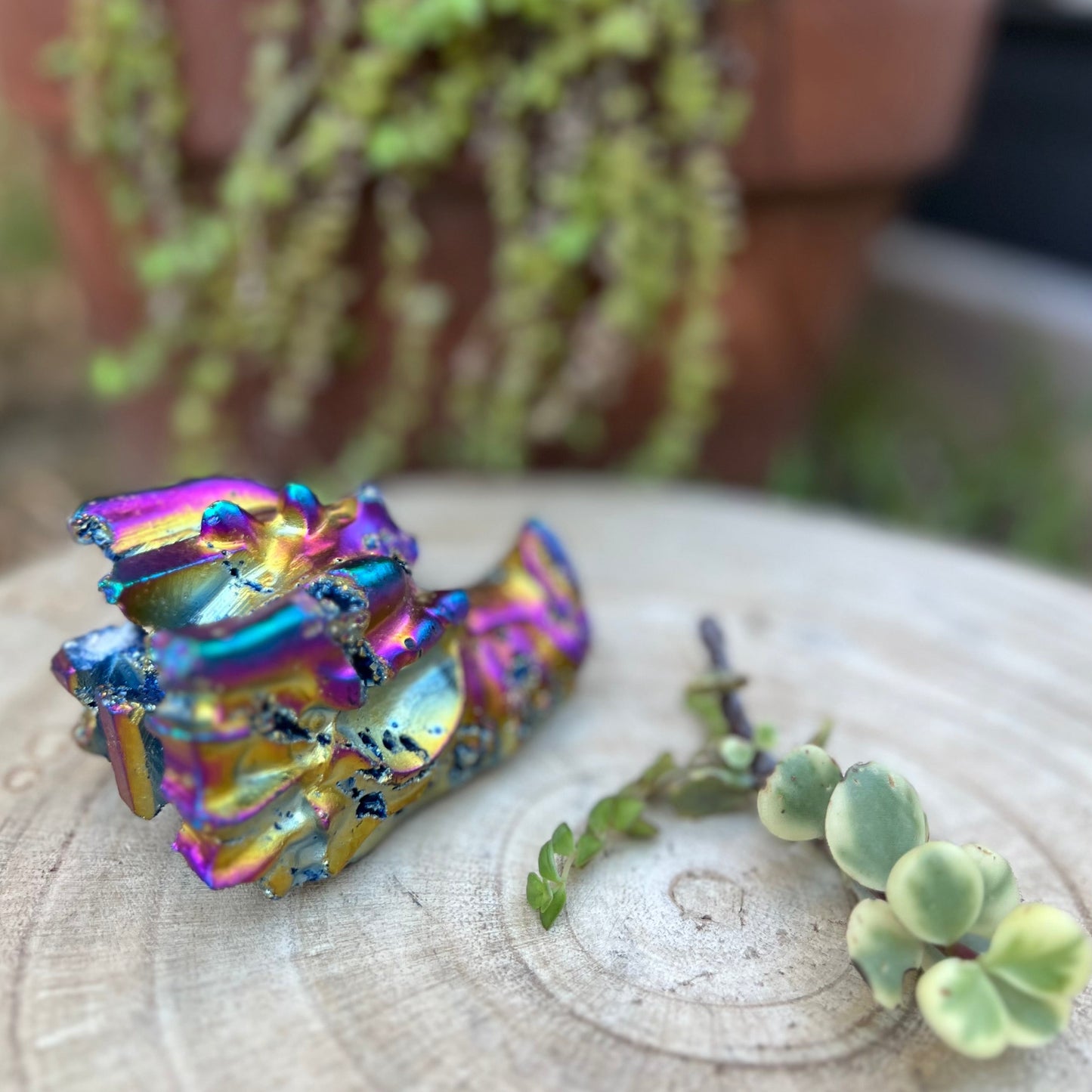 ‘Cosmic Henry’ The rainbow aura quartz dragon carving