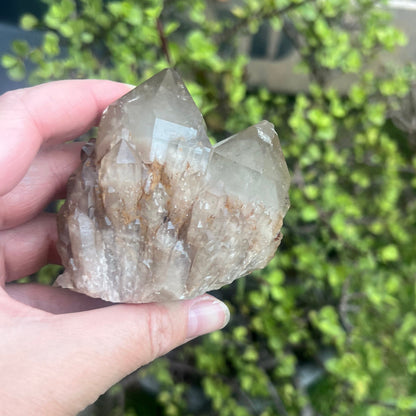 Natural raw Citrine cluster