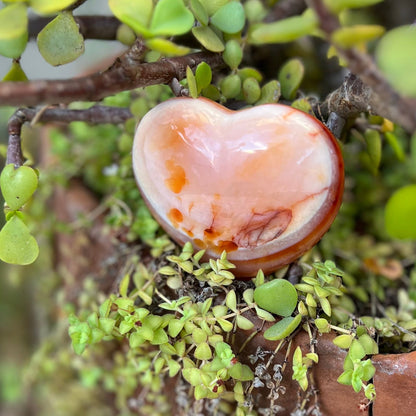Carnelian Heart