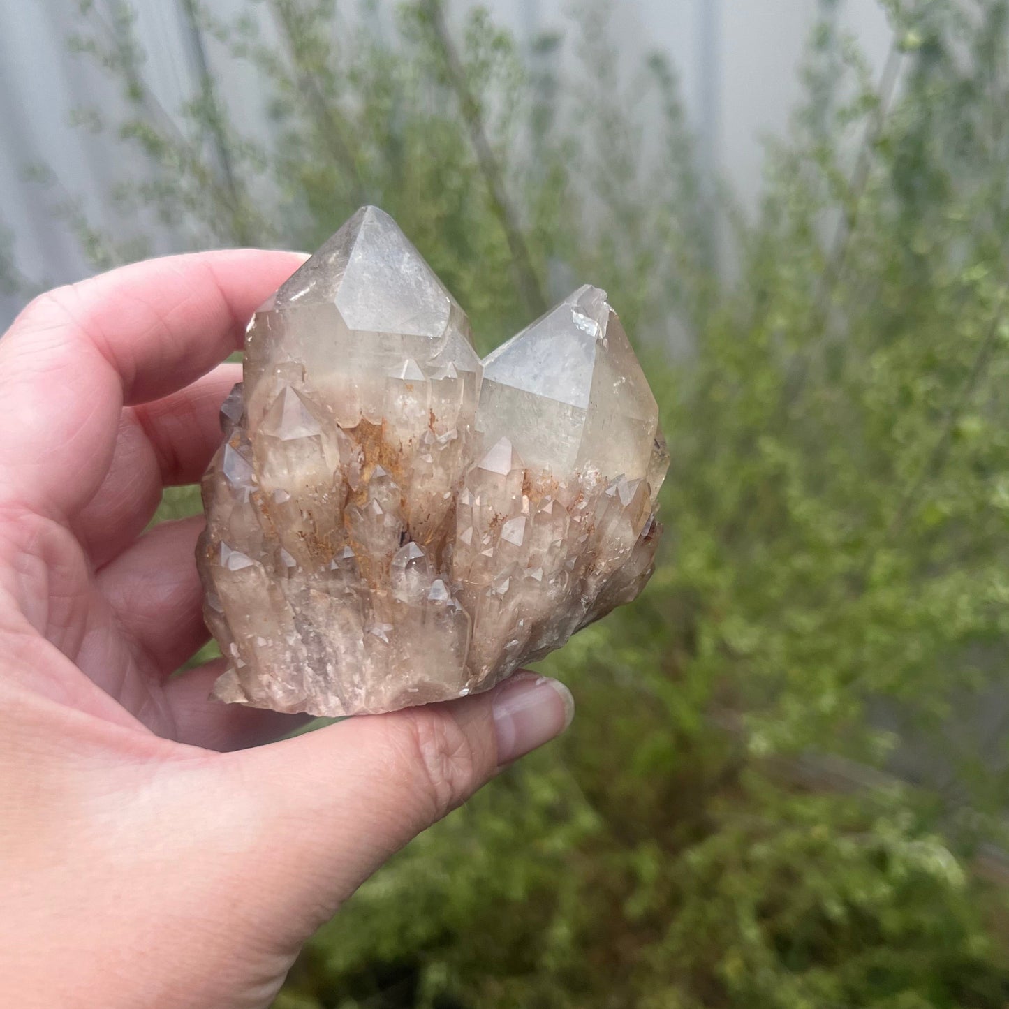 Natural raw Citrine cluster