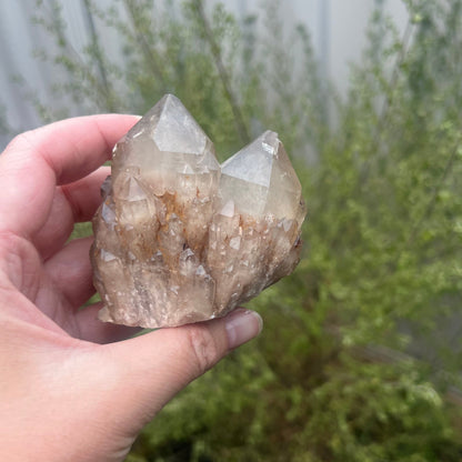 Natural raw Citrine cluster