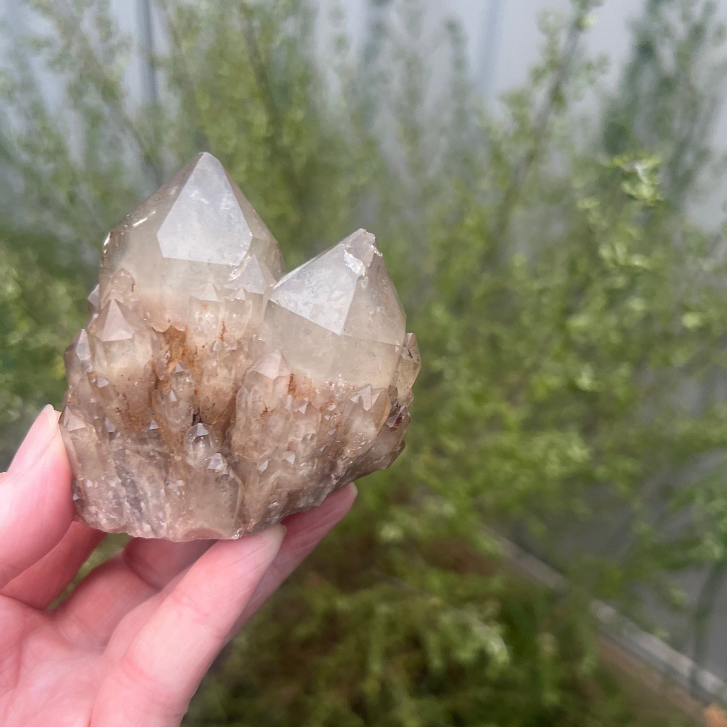 Natural raw Citrine cluster